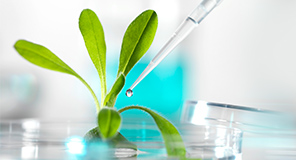 97622国际游戏股份,97622国际游戏设计,97622国际游戏水务,文旅投资