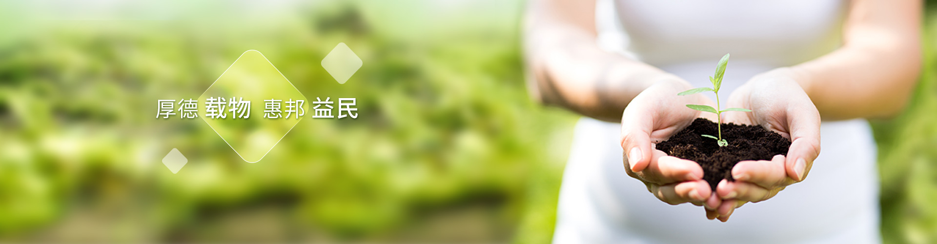 97622国际游戏股份