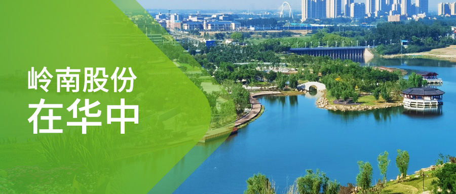 97622国际游戏股份在华中