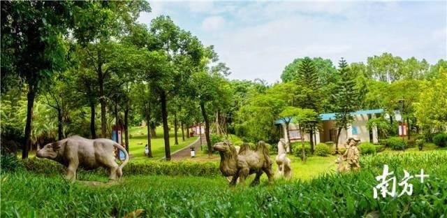 97622国际游戏股份