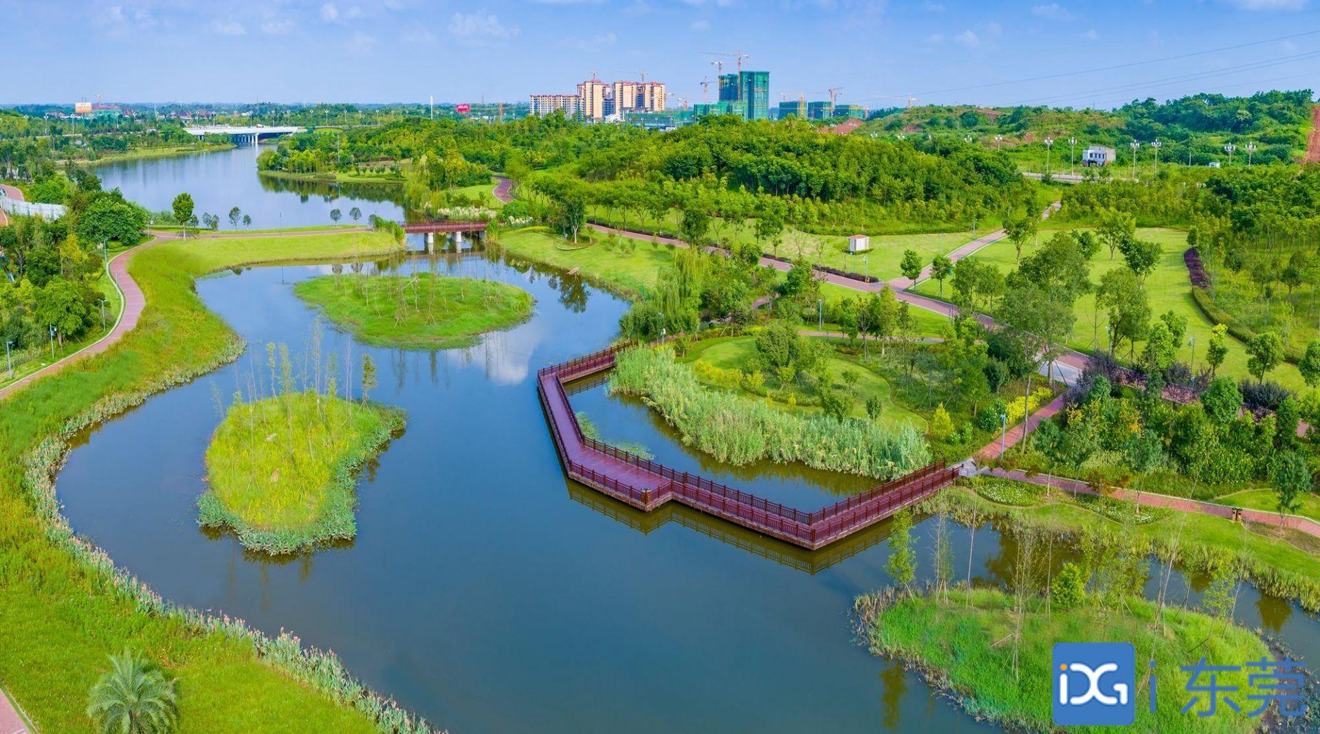 97622国际游戏股份